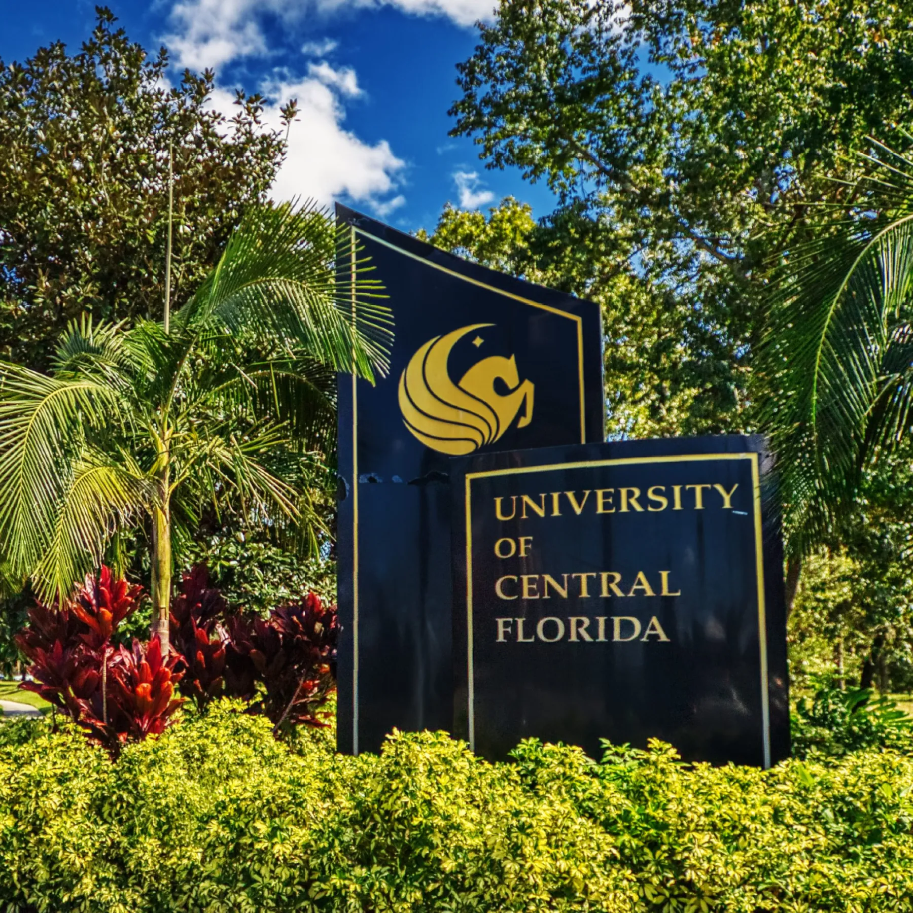 house cleaning service near University of Central Florida in Orlando